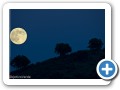 noches de Monfragüe